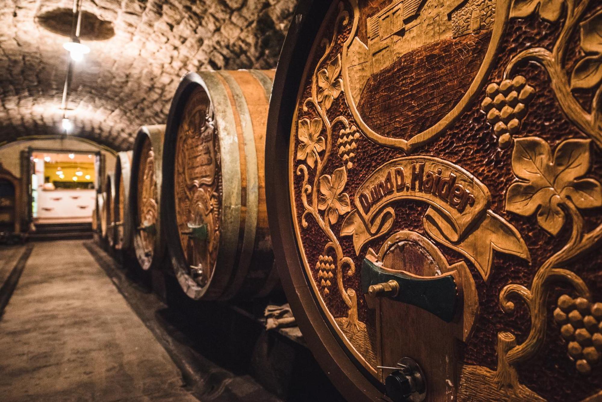 Weingut Gaestehaus D&D Haider Jois Zewnętrze zdjęcie