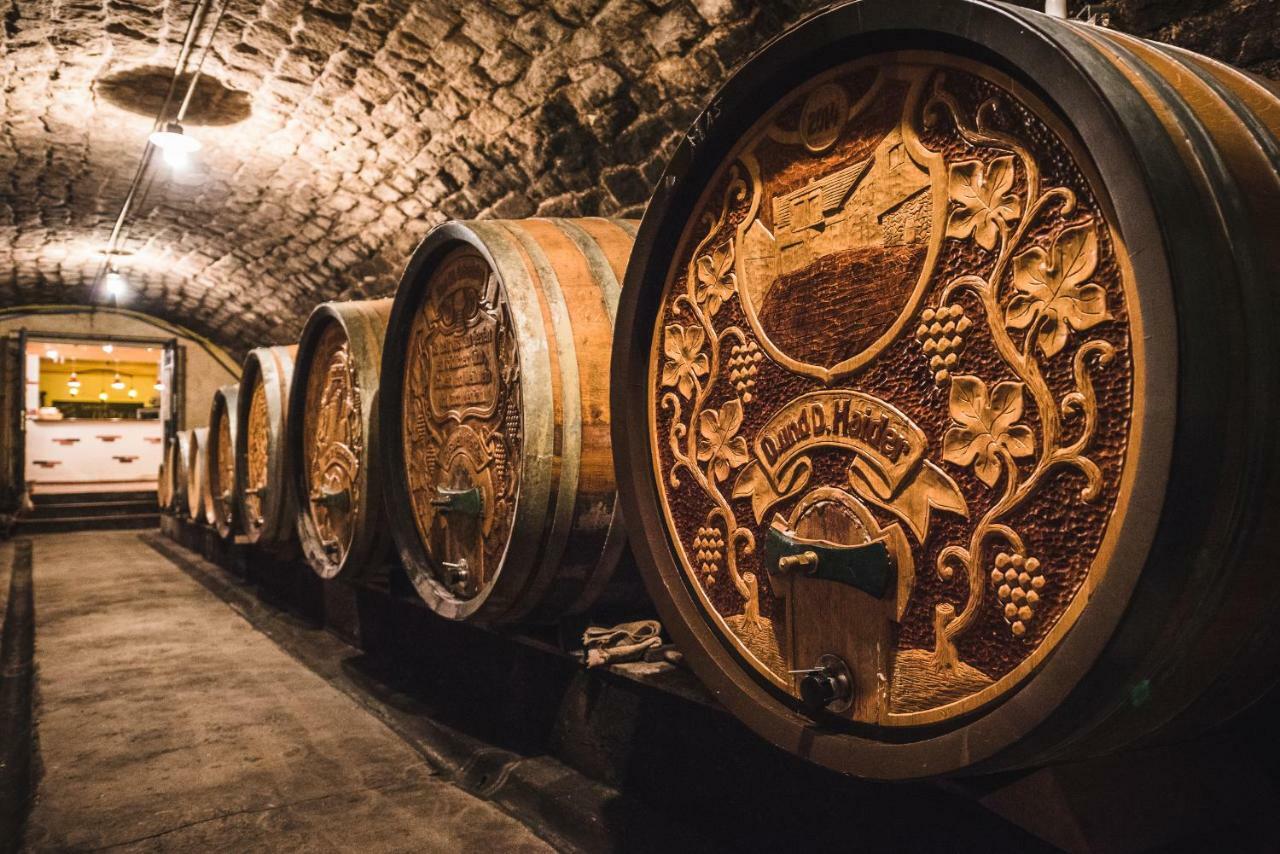 Weingut Gaestehaus D&D Haider Jois Zewnętrze zdjęcie