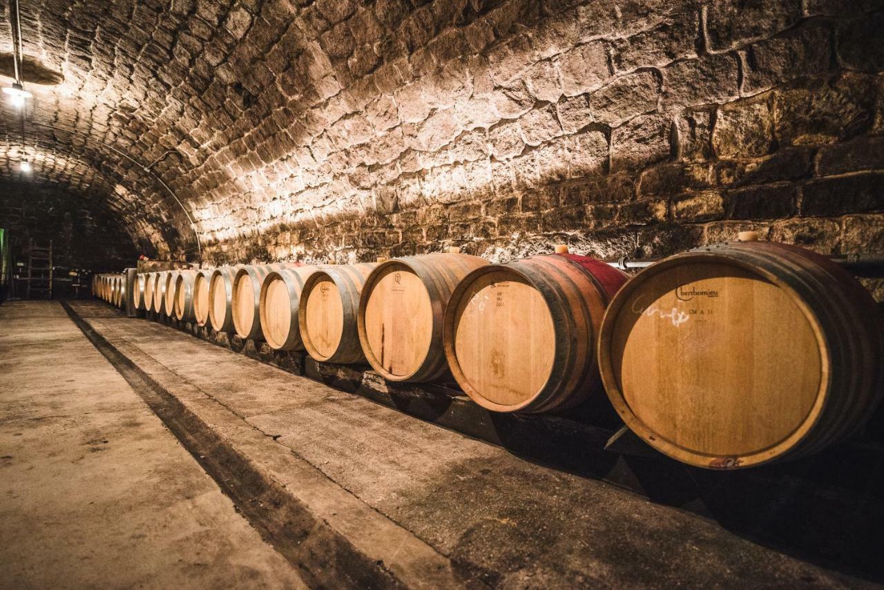 Weingut Gaestehaus D&D Haider Jois Zewnętrze zdjęcie